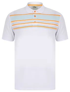 Hayden Yarn Dyed Stripe Cotton Pique Polo Shirt in Optic White - Tokyo Laundry