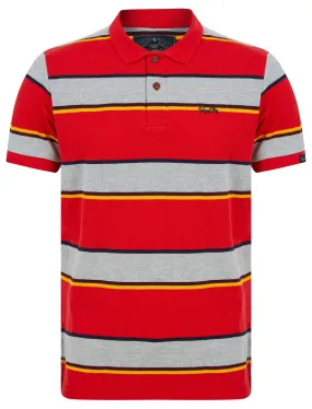 Nova Striped Cotton Pique Polo Shirt in Barados Cherry - Tokyo Laundry